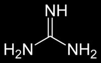 Altri amminoacidi con catene laterali basiche H H N H H COOH H CH 2 CH 2 CH 2 NH N NH 2 H Arginina