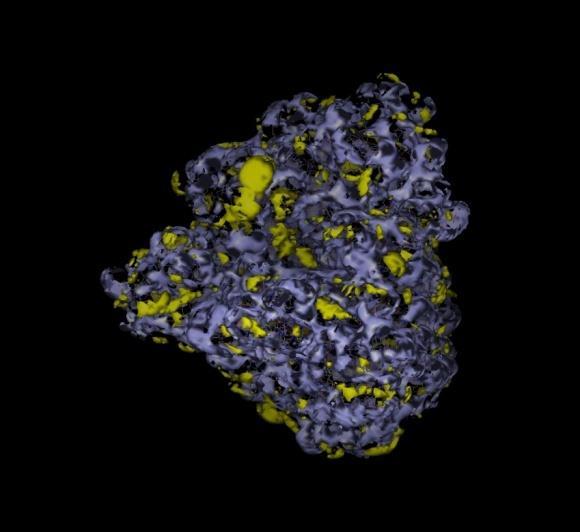 La superficie delle proteine globulari è idrofilica perché esposta all ambiente acquoso mentre l interno ed