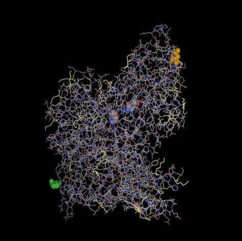 Uso di enzimi come catalizzatori in chimica farmaceutica: RCH 2 CONH S Trimetilclorosilano Piridina RCH 2 CONH S Penicillina G amidasi N O CO 2 H R=C 6 H 5 :Penicillina G R=C 6 H 5 O :Penicillina V