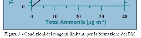 concentrazione di NH4NO3 è rappresentata in termini di curve di isoconcentrazione (Fonte: Ruolo dell