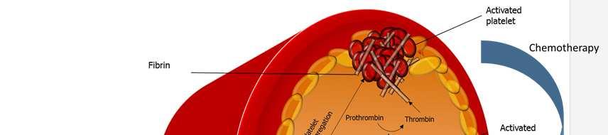 Cancer Itself is Associated With a State of