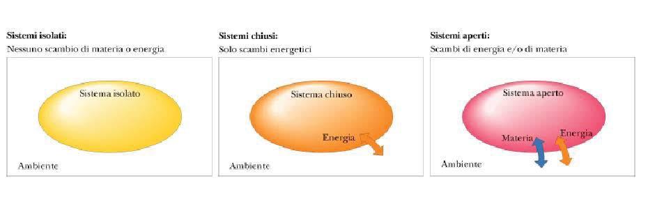 BIOENERGETICA branca della biochimica che si occupa di trasferimento e