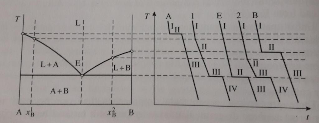 Diagramma di fase tipo 1 Infinita solubilità tra i 2 componenti elementari nella fase liquida. Nessuna reciproca solubilità dei componenti elementari nelle fasi solide terminali. Nessuna fase 1.