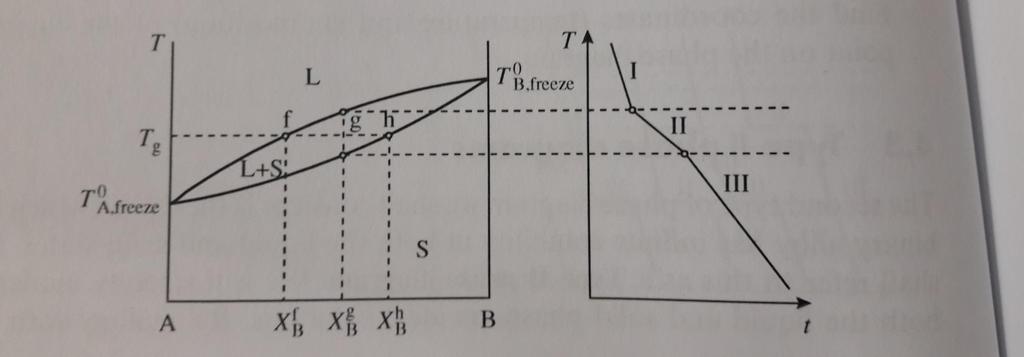 Diagramma di fase tipo 2 Infinita solubilità tra i 2 componenti elementari nella fase liquida. Infinita solubilità dei componenti elementari nella fase solida isostrutturale.