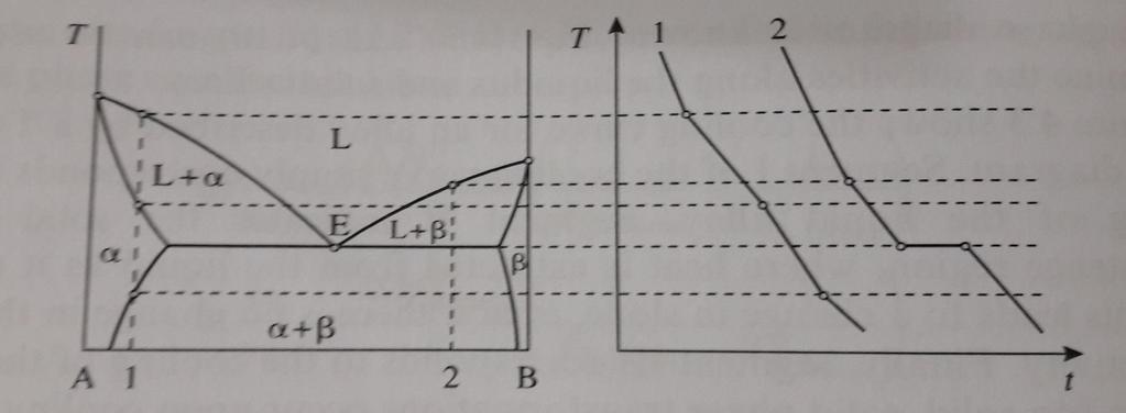 Diagramma di fase tipo 3 eutettico Infinita solubilità tra i 2 componenti elementari nella fase liquida. Solubilità limitata dei componenti elementari nelle fasi solide terminali.