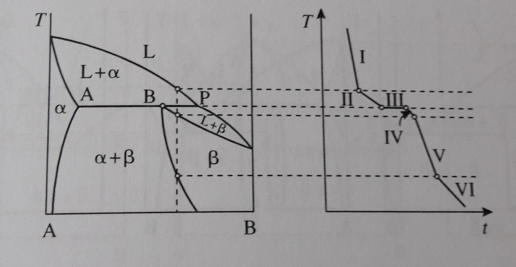 Diagramma di fase tipo 3 peritettico Infinita solubilità tra i 2 componenti elementari nella fase liquida. Solubilità limitata dei componenti elementari nelle fasi solide terminali.