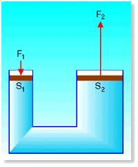 La pressione esercitata su una qualsiasi superficie di un liquido incomprimibile si trasmette inalterata a ogni altra superficie