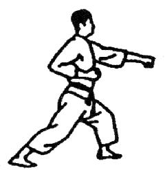 Massa, accelerazione e forza nel Karate Attacco: