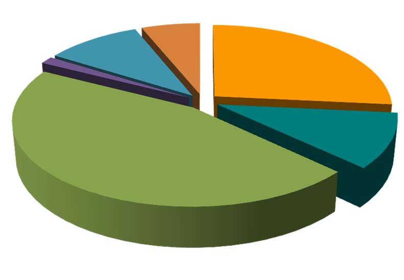 4; 2% 2; 1% Frequenza giornaliera 1 volta al giorno 2 volte al giorno 3 o più volte al 173 32 4 82.% 15.2% 1.9% 32; 15% 2.9% 211 1.