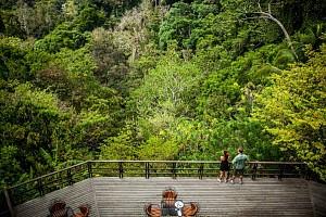 TOUR COSTA RICA ECO LUXURY 11 giorni a partire da 4435pp Un viaggio alla scoperta della Costa Rica con sistemazioni nei migliori eco-luxury hotels e lodges.