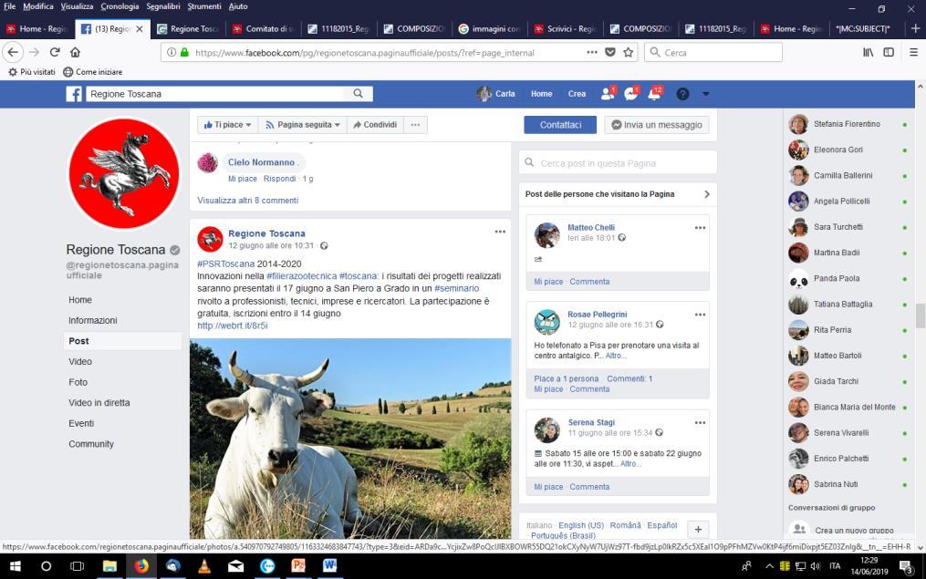 I social media: Facebook etwitter Continua l attività di comunicazione del PSR sui social (Facebook e Twitter), avviata nel 2018, utilizzando gli account RT Facebook 2018 Post pubblicati: 33