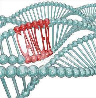 Alterazioni al DNA e Tumori Il tumore è caratterizzato dalla presenza di alterazioni genetiche ed