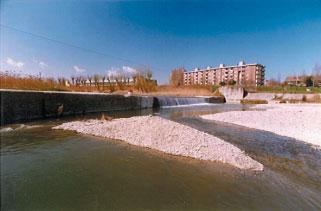 Valore mensile dei rilevamenti per corpo idrico ANNO 2003 Corpo idrico: Fiume Marecchia Stazione di prelievo: 19000600 (tipo AS) - A monte cascata Via Tonale - zona celle - Rimini Ossigeno disciolto