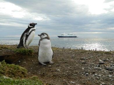 9º Giorno: Isola Magdalena - Punta Arenas L Isola Magdalena, nello Stretto di Magellano, era un punto di approdo obbligato per il rifornimento di antichi navigatori ed esploratori, e sarà la nostra