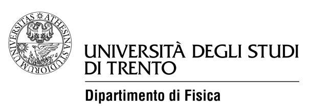 MANIFESTO DEGLI STUDI A.A. 2014/2015 CORSO DI DOTTORATO IN FISICA