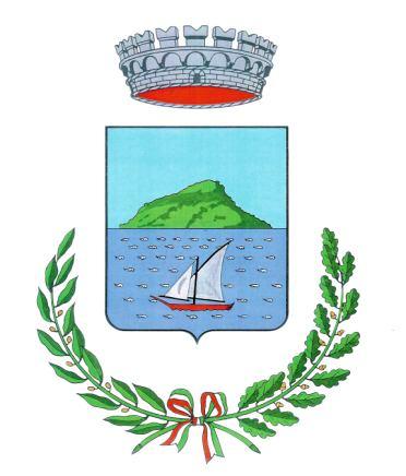 COMUNE DI GOLFO ARANCI Provincia di Sassari SERVIZIO FINANZIARIO, AMMINISTRATIVO E DEMOGRAFICO DETERMINAZIONE n.