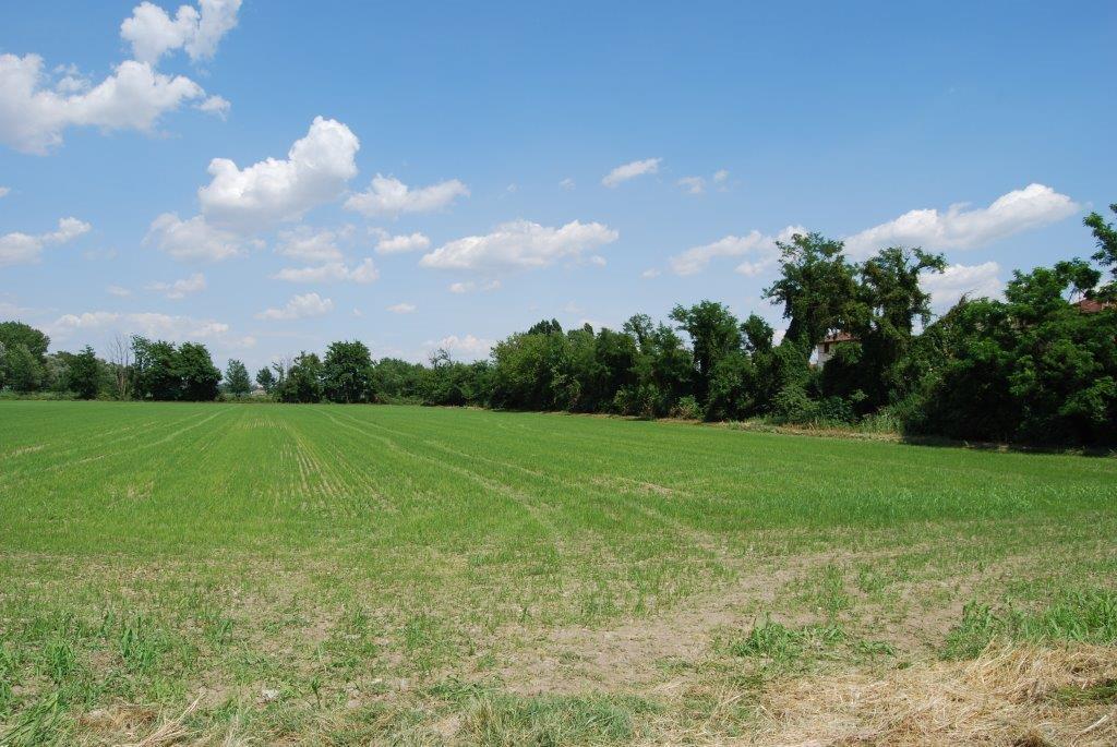 03- L4 Vista del campo e della fascia di