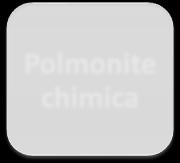 liquidi Polmonite chimica