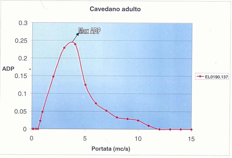 (superficiale e profondi), e progettazione e gestione delle operazioni di bonifica.