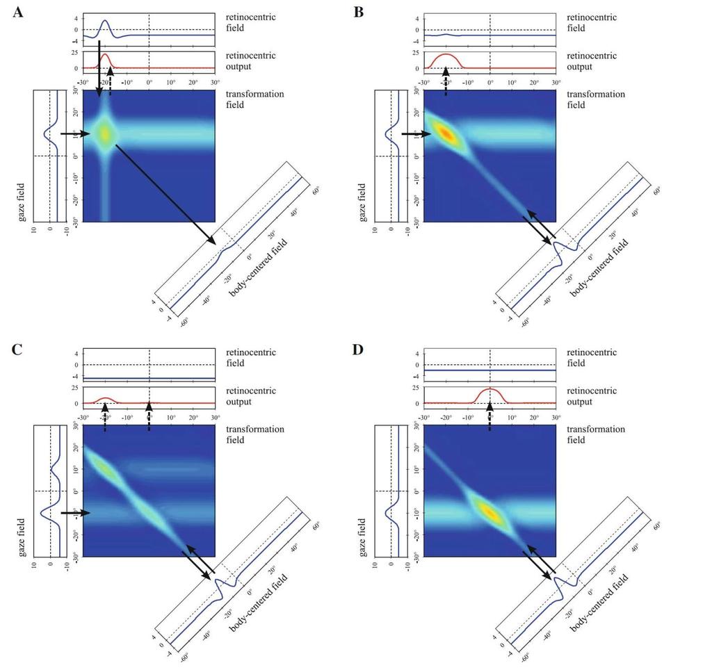 Fig. 29. Evoluzione delle attività nei campi del modulo di trasformazione (transformation module).