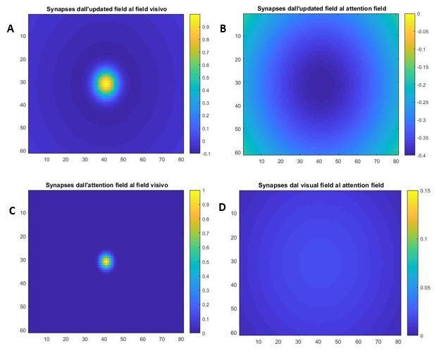 Fig. 34 Sinapsi inter-layer: A) Sinapsi che manda il neurone in posizione 41, 31 dell update field al visual field; la forza delle sinapsi è codificata in un range che va da -0.