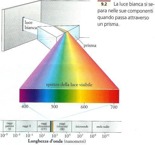 Monocromatori La luce policromatica viene «scomposta» in luce monocromatica (il più possibile) da un monocromatore.