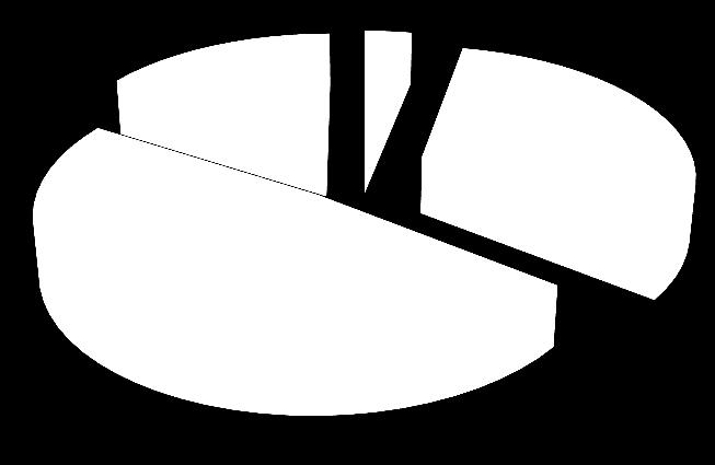 delle risorse interne Possibili riflessi