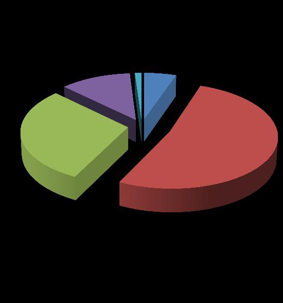 Abbastanza Poco Per niente 11% Lo rifareste?