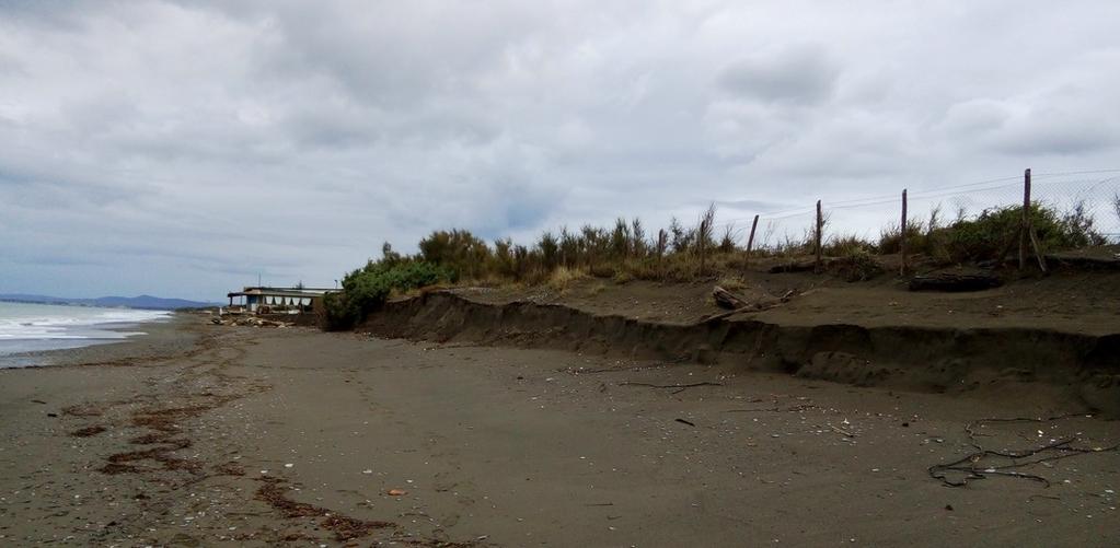 COMUNE DI BIBBONA PROVINCIA DI LIVORNO INTERVENTO: RIPROFILATURA STAGIONALE DELLA SPIAGGIA CON