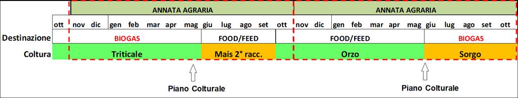 LE COLTURE DI SECONDO RACCOLTO: DEFINIZIONI ATTENZIONE Ai fini delle dichiarazioni PAC nel Piano colturale con coltura principale, si intende quella che occupa il suolo per più mesi, come indicato in