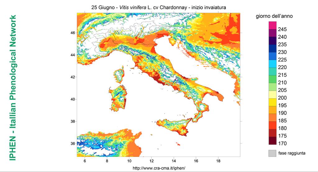 Fig. 11 previsione fenologica per Vitis vinifera cv Cabernet sauvignon Inizio invaiatura. Fig. 11 Phenological forecasts for Vitis vinifera cv Cabernet sauvignon Beginning of veraison. Fig. 12 Previsione fenologica stato attuale Vitis vinifera cv Chardonnay Inizio invaiatura.