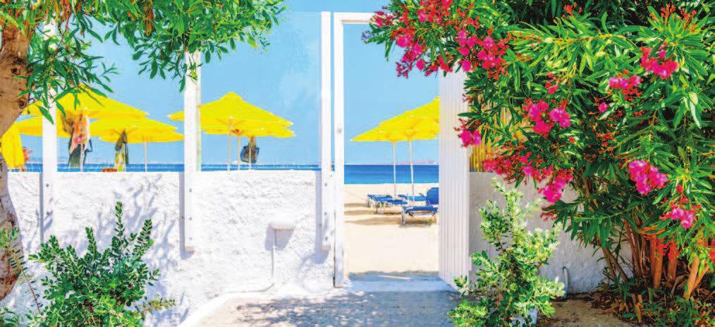 Grecia NAXOS Veraclub Naxos LA SPIAGGIA La spiaggia pubblica di Mikri Vigla, di sabbia fine, è ampia e profonda.