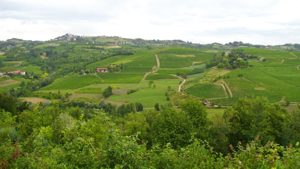 L itinerario illustra come la storia geologica sia strettamente implicata nelle attività antropiche del Monferrato.