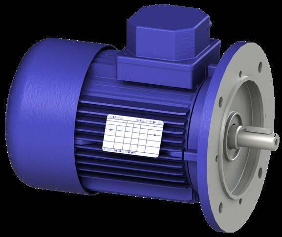 Motore Motore Le elettropompe TWIN-PUMP e Mini TWIN-PUMP hanno una configurazione standard che prevede un motore trifase.