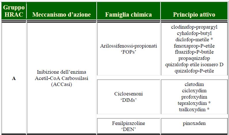 MECCANISMO D