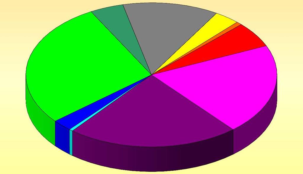 LE SPESE CORRENTI E PER RIMBORSO PRESTITI PER FUNZIONE 4,33% 12,35% 3,27% 28,12% 0,73% 20,33% 5,72% Amministrazione generale Polizia Locale