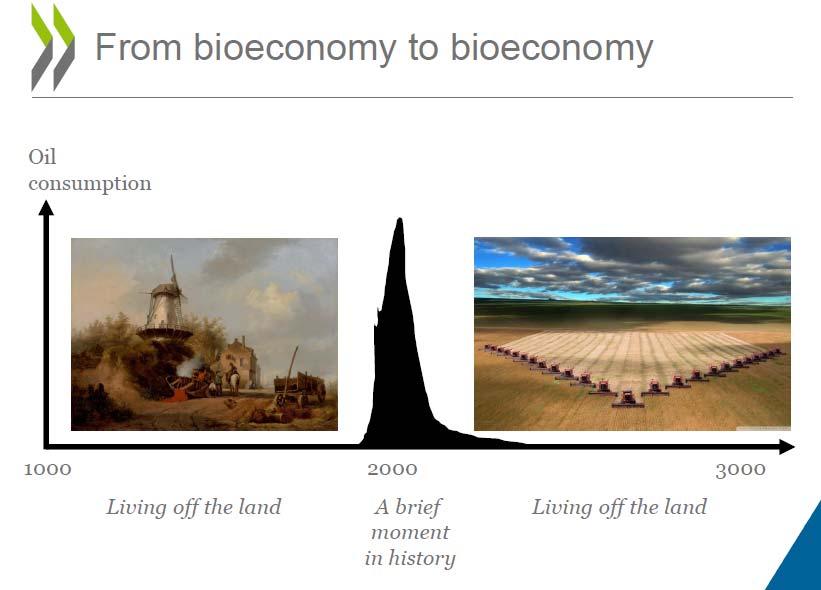 15 La Bioeconomia è una