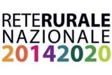 IV Congresso nazionale di Selvicoltura Torino 5-9 novembre 2018 Potenzialità