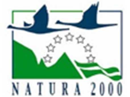 Piano di Monitoraggio della Rete Natura2000 in Campania Plants n scheda Rilevatore Data - n. relev. - Località Coordinate / Altit.