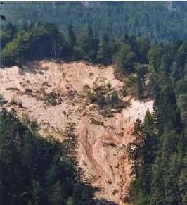 NATURALE anche se fortemente condizionato dall azione umana ANTROPICO E SANITARIO Definizione di