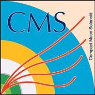 rivelatore CMS a LHC Riccardo Ranieri