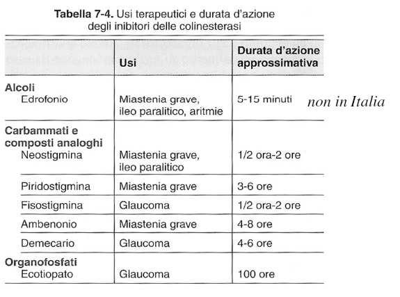 AGONISTI INDIRETTI