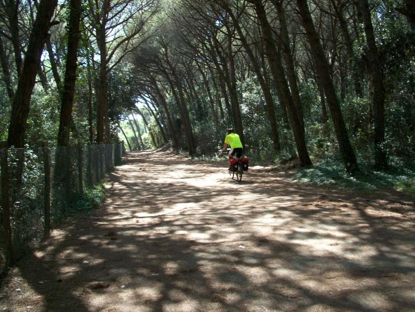 Ore 15: a Castiglioncello termine ciclovacanza.