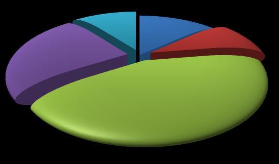 ASSUNZIONI PER TIPO DI PROFILO (*) Profili generici 10% Dirigenti, specialisti e tecnici 13% Profess.