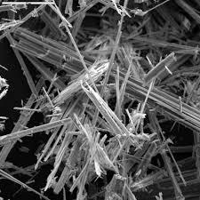 Sviluppo di un modello per la previsione della tossicità e patogenicità delle fibre minerali, tra cui l'amianto Scopo:
