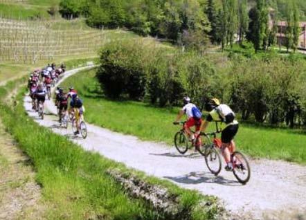 1.6. RIPRISTINO PISTA CICLABILE Considerato che l area era servita da una pista ciclabile in parte realizzata con il primo lotto esecutivo del progetto di Consolidamento delle Rocche di Barbaresco