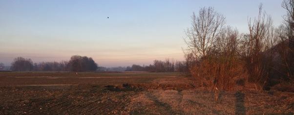 concentrazione delle acque di golena al momento del rientro in alveo in caso di piena del Fiume Tanaro.