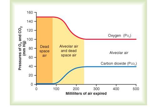 Modificazioni delle pressioni parziali di O 2 e CO 2 nell aria espirata