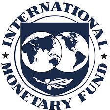 ATTORI INTERNAZIONALI: L FMI Molto rilevante è stato anche il ruolo del FMI, che, in un analisi condotta nel 2003, ha dimostrato come l adozione di politiche di riduzione