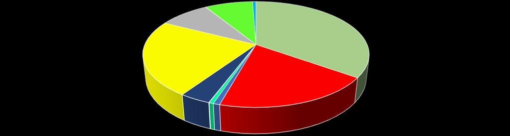 Riepilogo per ambito di segnalazione Descrizione in dettaglio degli ambiti oggetto di segnalazione 2018 1 Semestre TOTALE SEGNALAZIONI Informazione - Orientamento 658 Condizioni di accesso 367